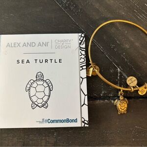 Alex and Ani Gold Sea Turtle Charm Bracelet